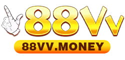 88vv.money