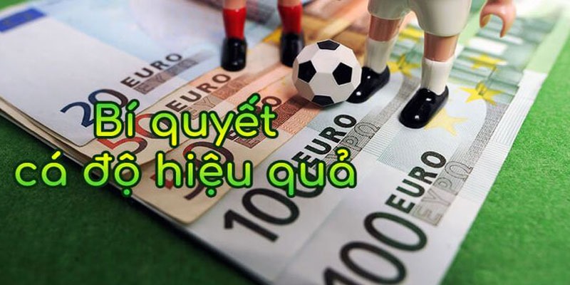 Tìm hiểu cach bet luôn thắng cùng 88vv